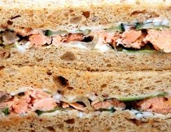 sandwich with fish