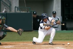 Baseball College Baseball Bunt