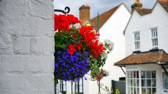 Colorful flowers on a building wall