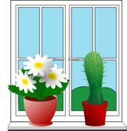 drawing in the form of flowers on the window