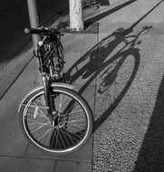 Shadow of Bicycle on Street