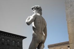David, sculpture by Michelangelo, italy, Florence