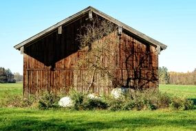 log house in a green field on a sunny day