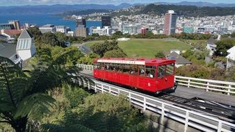 red tram on city street in wellington