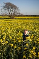 child in a yellow flowered meadow