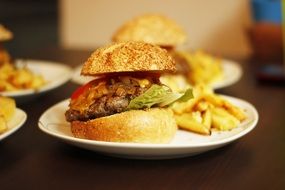 cheeseburger and french fries junk food