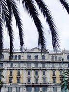 building behind palm tree branches in Italy