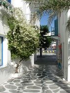 Buildings in Santorini