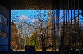 reflection of the park in the facade of modern building