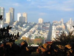 beautiful autumn cityscape, usa, California, San Francisco