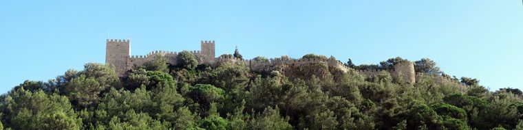 castle among green trees in portugal