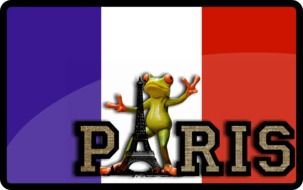 happy travel frog in Paris
