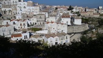 monte sant'angelo view