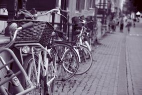 bicycles on the streets of amsterdam in black and white image