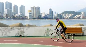 Picture of the cyclist, korea