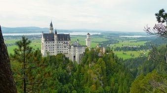 Neuschwanstein Castle behind green trees