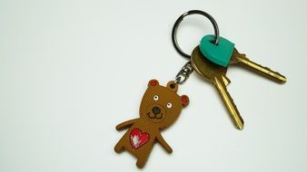 keys with a keychain in the form of a bear
