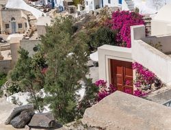 flowers and plants among white architecture on Santorini island