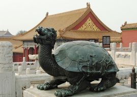 China Beijing turtle