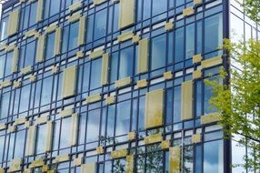 The Window Building