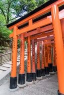 Fushimi Inari-Taisha Shrine in Japan