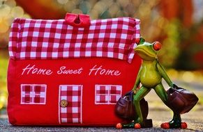 arriving funny frog