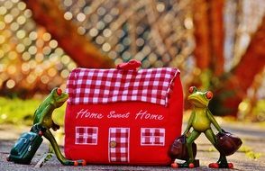 home sweet home for frogs