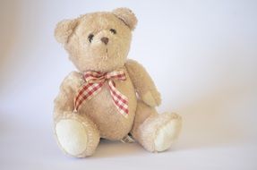 Cute and beautiful Teddy Bear with red and white bow tie