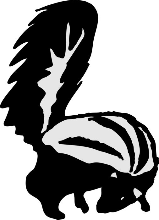 black and white sketch of a skunk on a white background