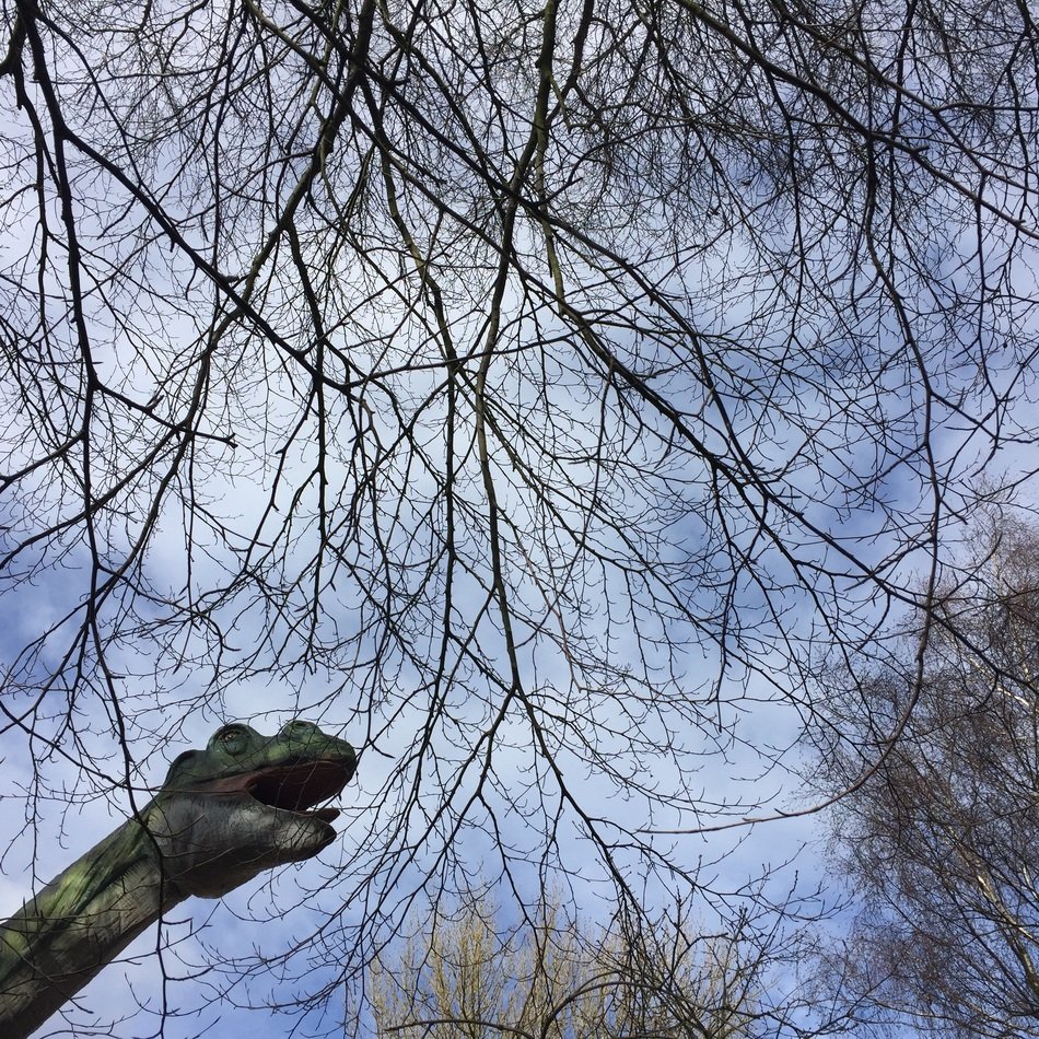 Dinosaur in the Sky