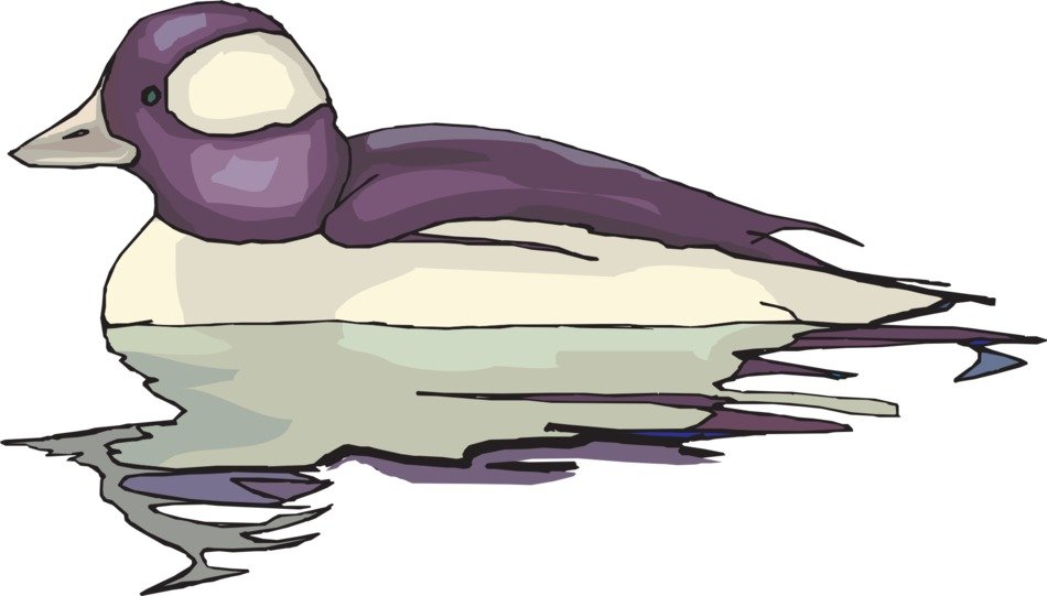 graphic image of a purple duck