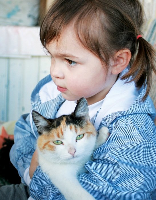 little girl holding a cat in her arms