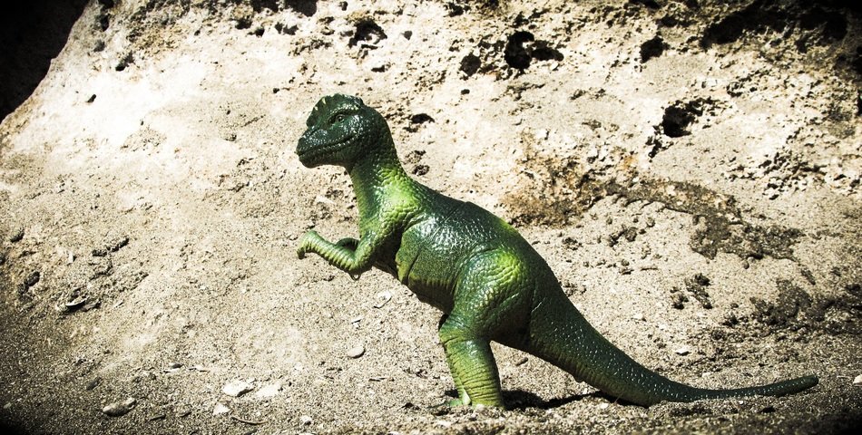 Model of the Pachycephalosaurus