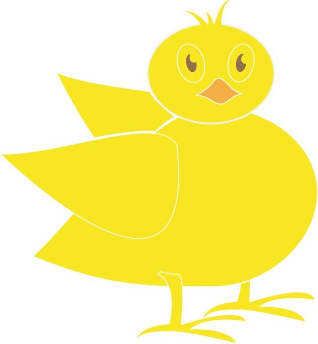 Picture of yellow chick