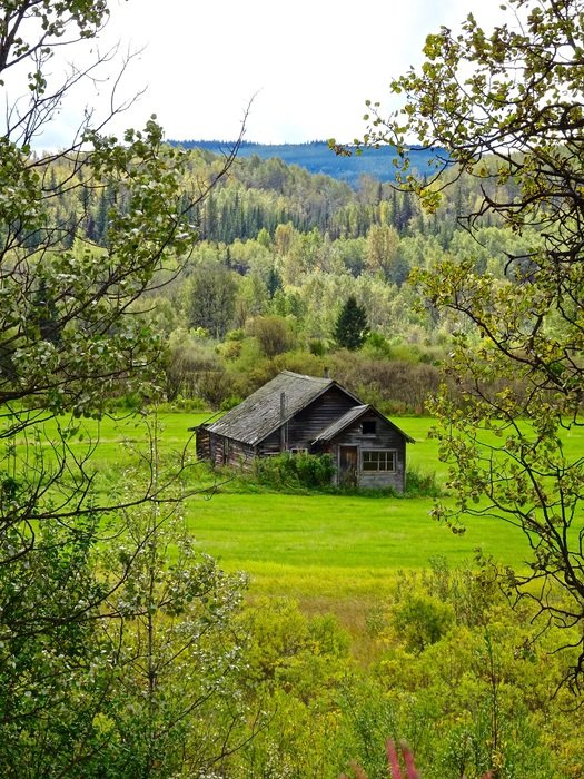 Picture of the Barn House