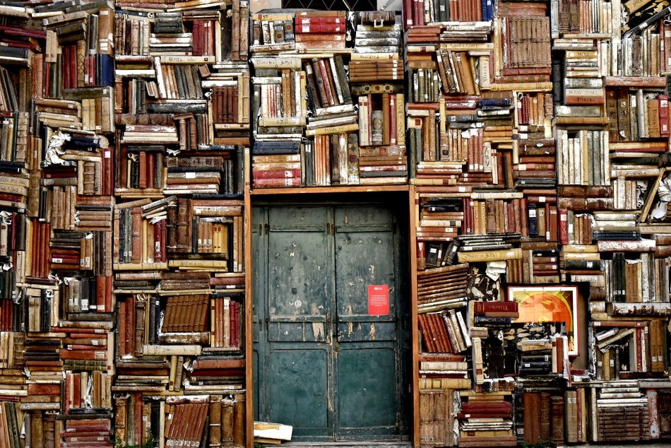 bookcases as an interior near the front door