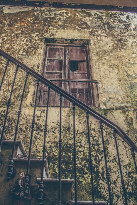 abandoned luxurious garden with the stairs