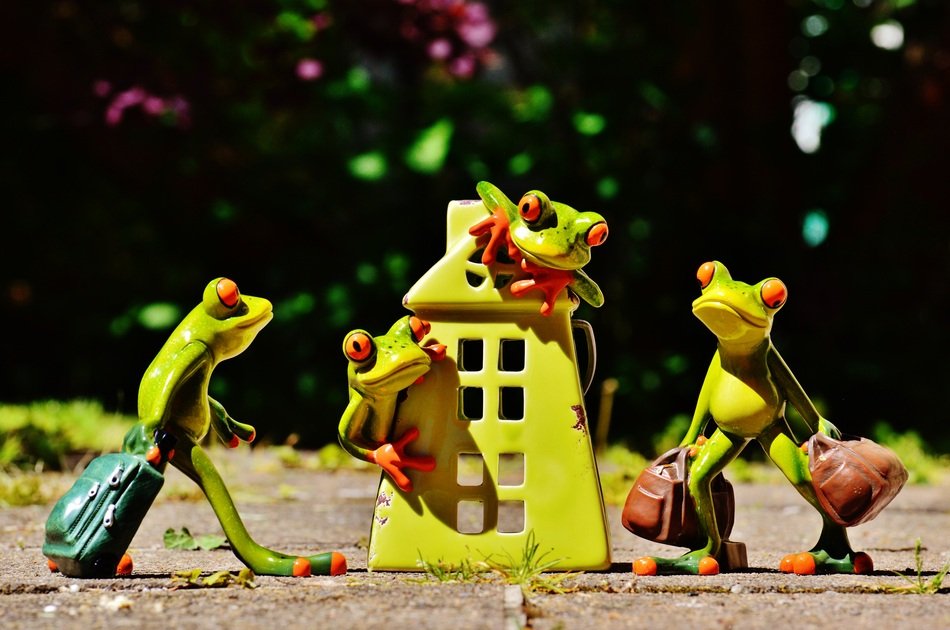 ceramic Frogs At Home