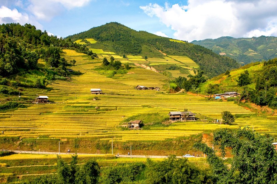 Photo of Mountain Landscape