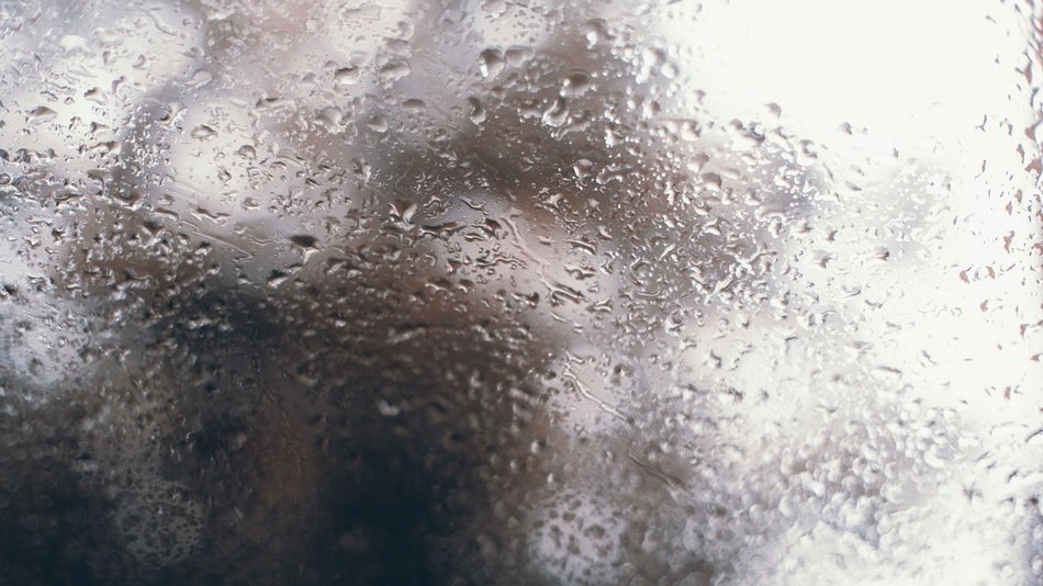 Drops on the window