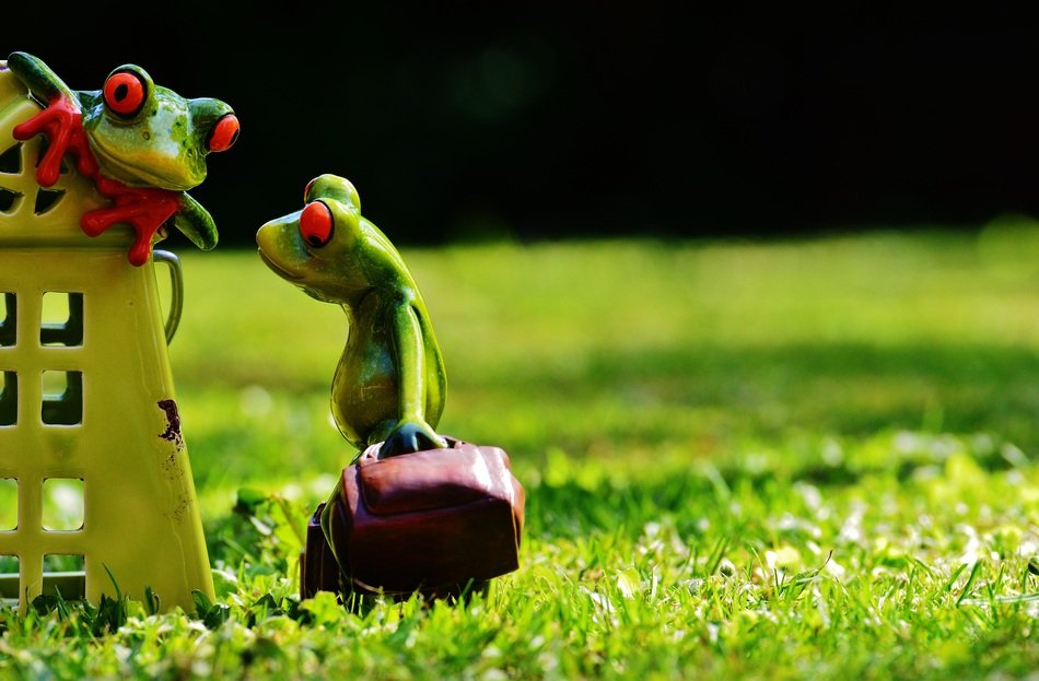 souvenir in the form of frogs near the house