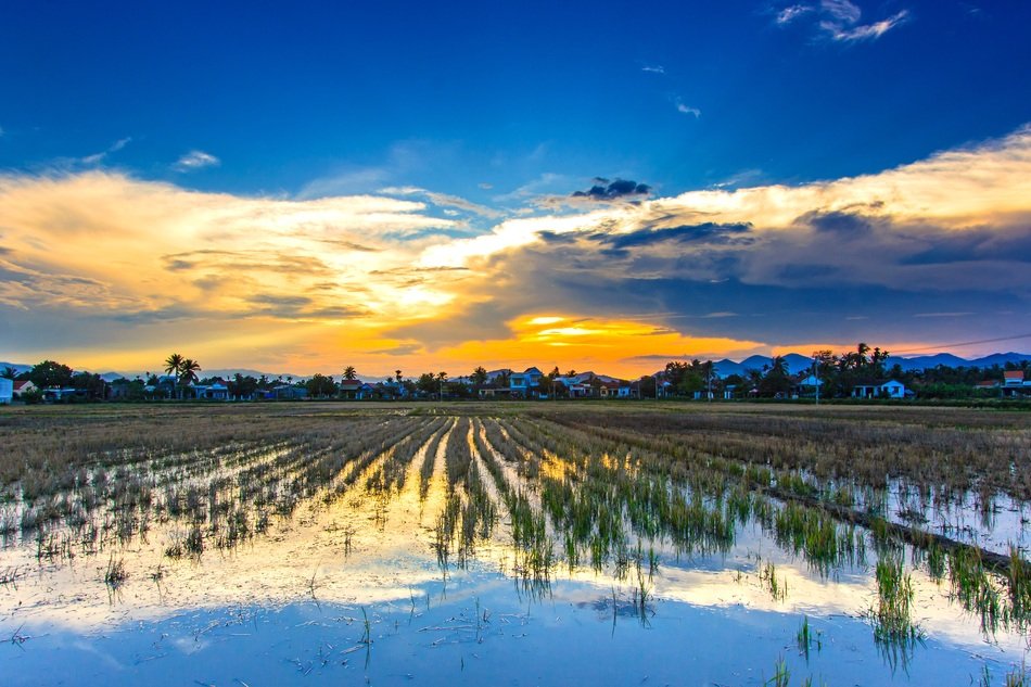 beautiful Hoáº±ng Than