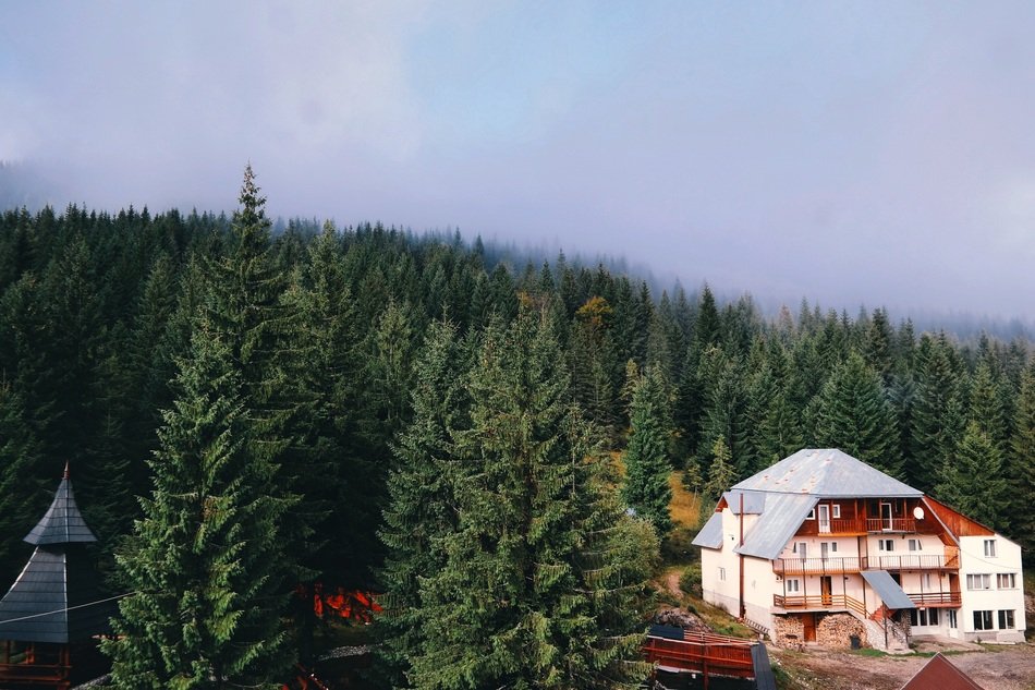 panorama of a chalet amidst a alpine forest