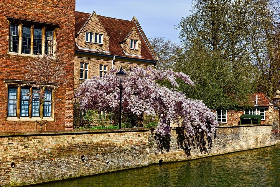 Landscape of buildings and Blossoms Canal in Cambridge