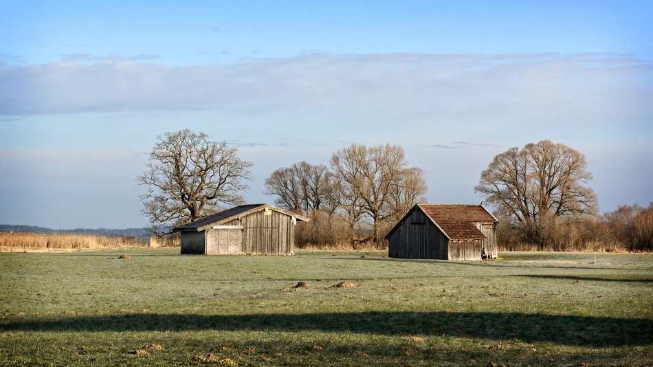 log cabins in the field