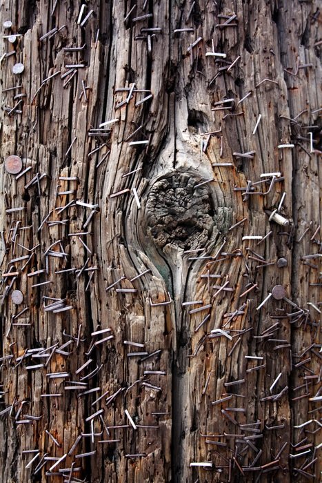 grungy telephone pole close-up