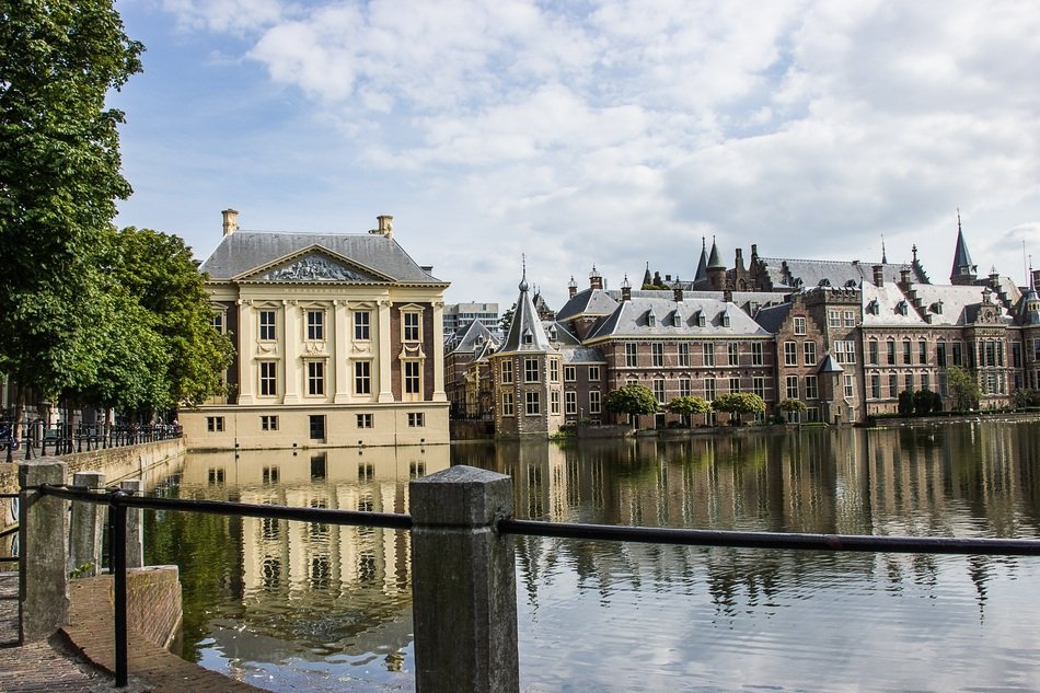 city ​​pond in the hague