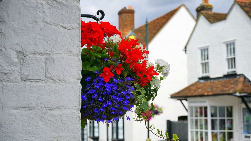 Colorful flowers on a building wall