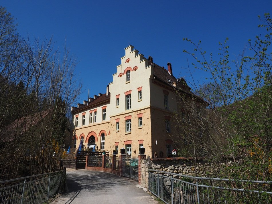 forest restaurant
