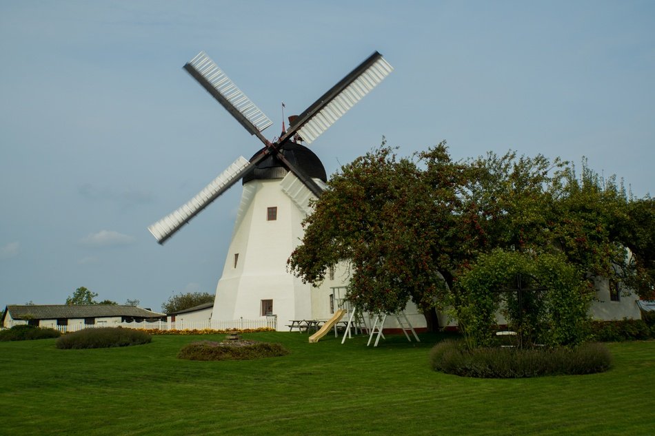 Windmill and Fruit Tree